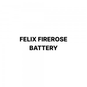 FELIX LAB