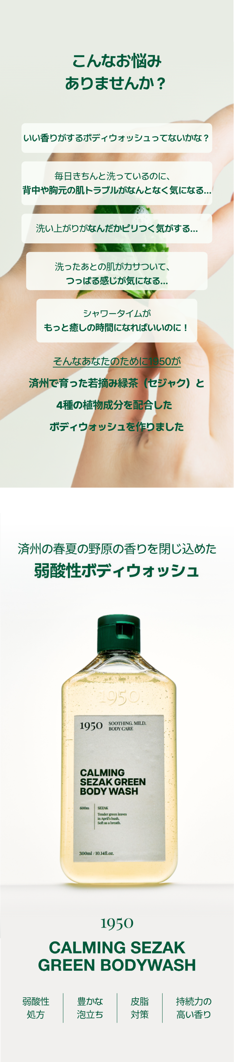 세작워시01.png