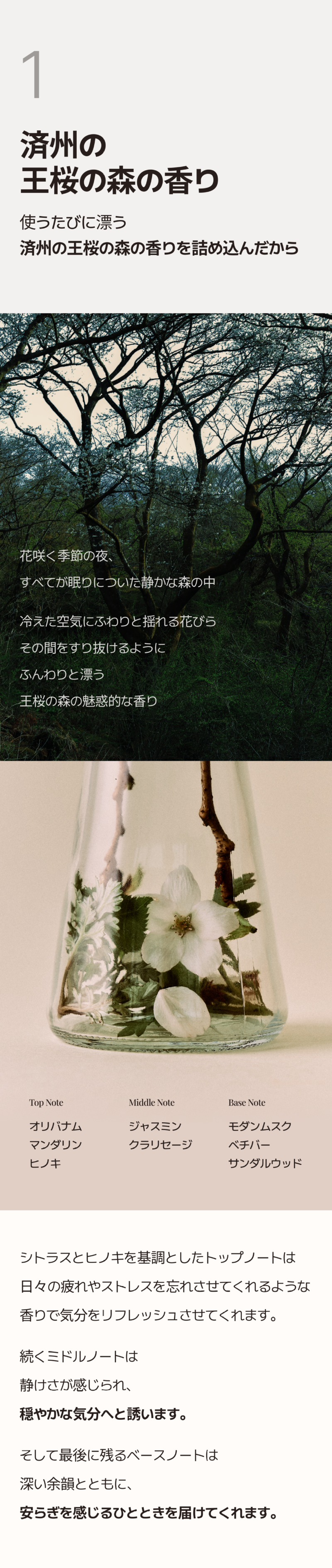 트리트먼트03.png